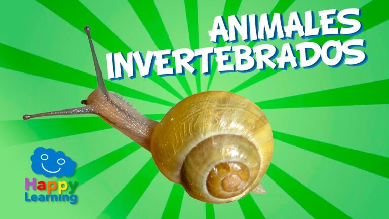 animales-invertebrados-tipos-y-caracteristicas - 2024-11-28 - Animales Invertebrados