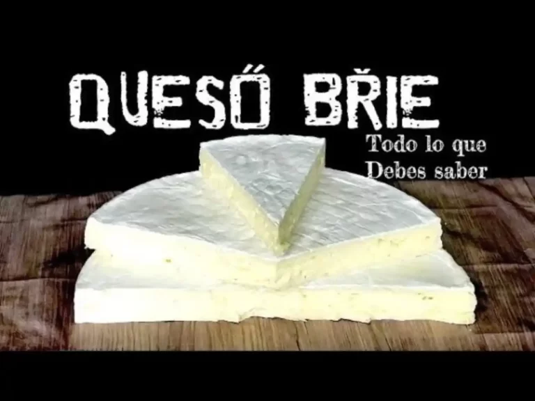 queso-brie-variedades-beneficios-y-recetas - 2024-11-16 - Brie 1