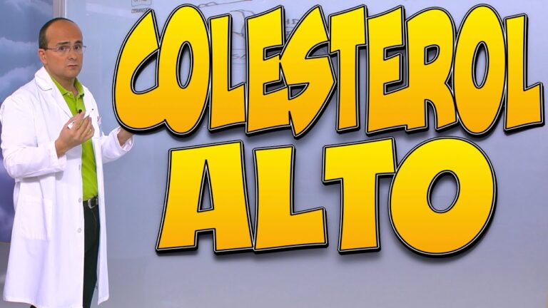 colesterol-por-que-es-importante-para-el-cuerpo - 2024-11-18 - Colesterol