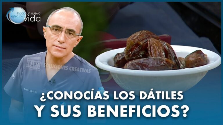 datiles-nutricion-usos-y-recetas-deliciosas - 2024-11-12 - Datiles