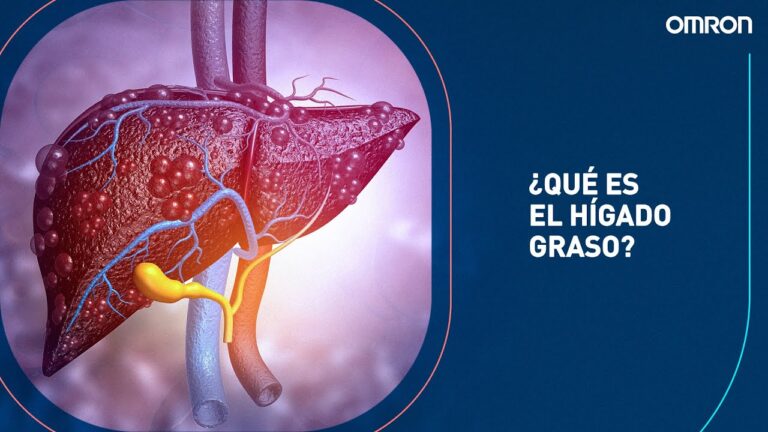 higado-graso-causas-sintomas-y-tratamientos - 2024-12-05 - Higado Graso
