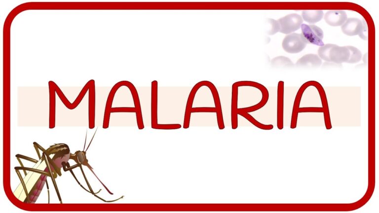 malaria-sintomas-prevencion-y-tratamiento - 2024-11-23 - Malaria
