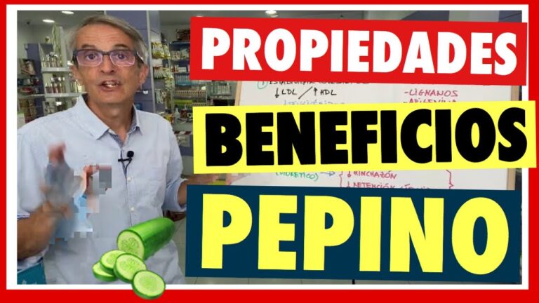 pepino-los-beneficios-recetas-y-cultivo - 2024-11-10 - Pepino