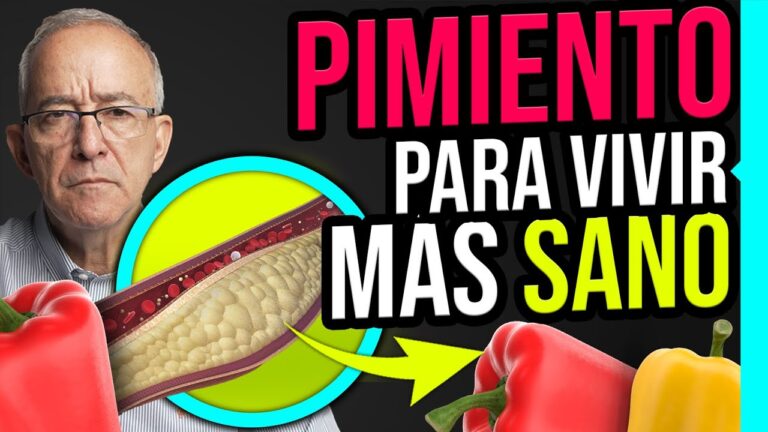 pimiento-variedades-beneficios-y-receta - 2024-11-26 - Pimiento