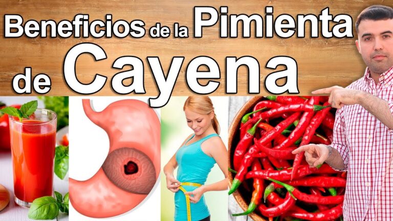 pimiento-de-cayena-beneficios-usos-y-recetas - 2024-12-08 - Pimiento De Cayena