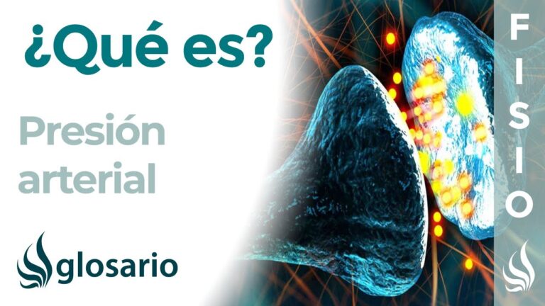 presion-arterial-causas-sintomas-y-tratamientos - 2024-11-13 - Presion Arterial