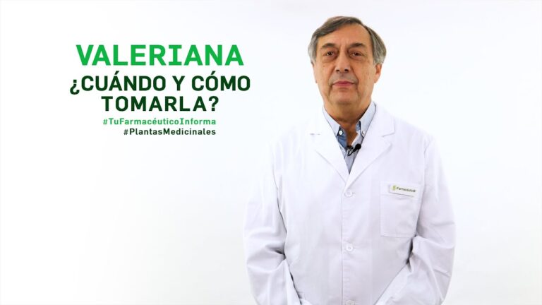 valeriana-beneficios-usos-y-efectos-secundarios - 2024-12-22 - Valeriana