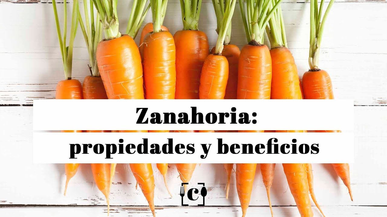 zanahoria-propiedade-usos-y-recetas-saludables - 2024-11-07 - Zanahoria