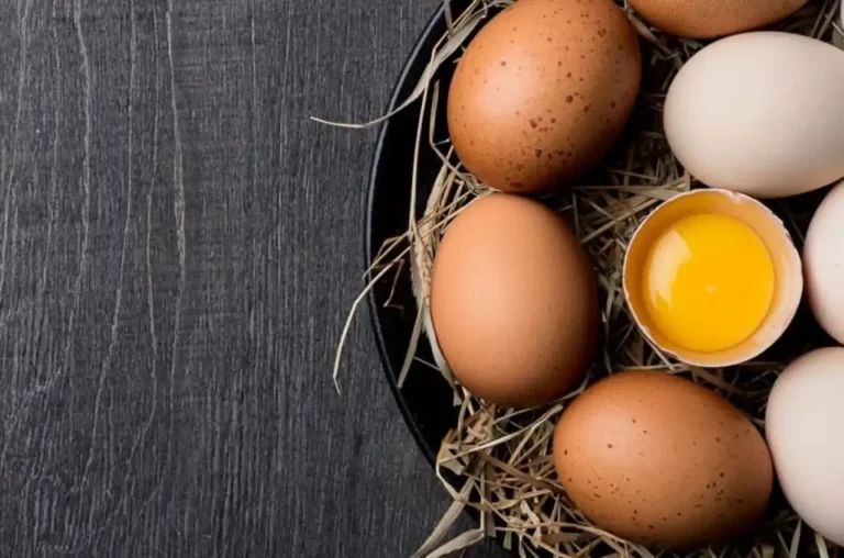 huevos-beneficios-nutricion-recetas-y-mas - 2024-12-10 - Huevo