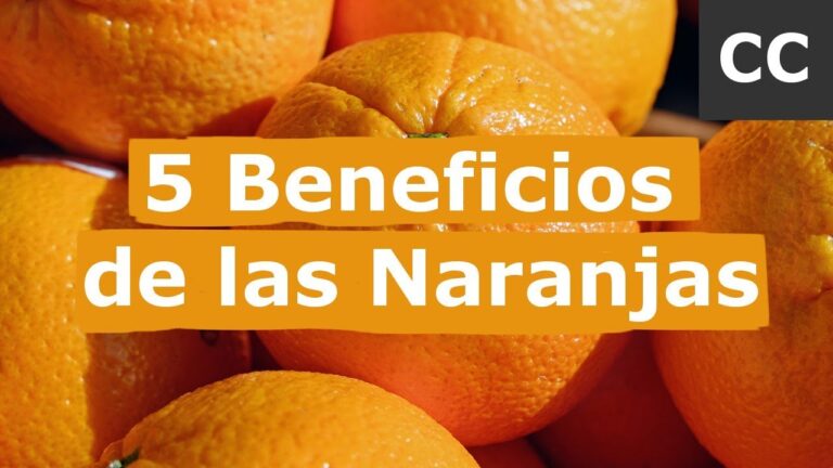 naranjas-variedades-propiedades-y-usos - 2025-01-21 - Naranjas