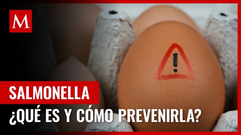 salmonella-prevencion-sintomas-y-tratamiento - 2025-01-17 - Salmonella