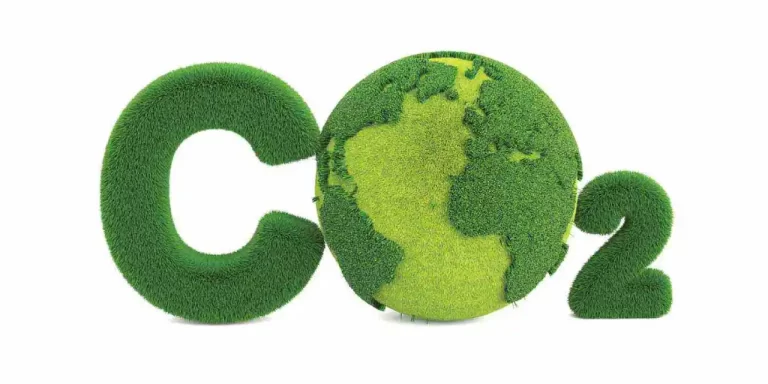 co2-fuentes-soluciones-para-reducir-su-impacto - 2025-02-10 - Carbono