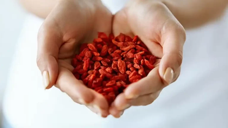baya-de-goji-los-beneficios-y-propiedades - 2025-03-06 - Propiedades