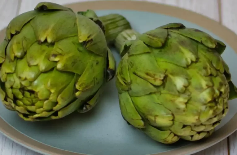 00 Alcachofa: Propiedades, Usos y Recetas Saludables 00