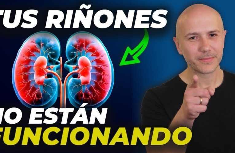 00 Los Riñones: Funciones, Cuidado y Salud 00