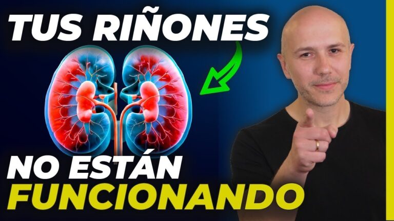 los-rinones-funciones-cuidado-y-salud - 2025-03-17 - Rinones