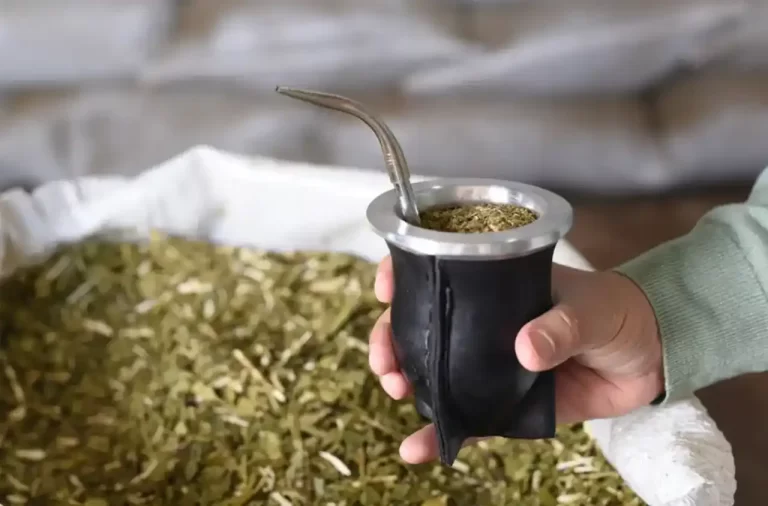 yerba-mate-guia-para-disfrutar-de-esta-bebida - 2025-03-02 - Tipos 1