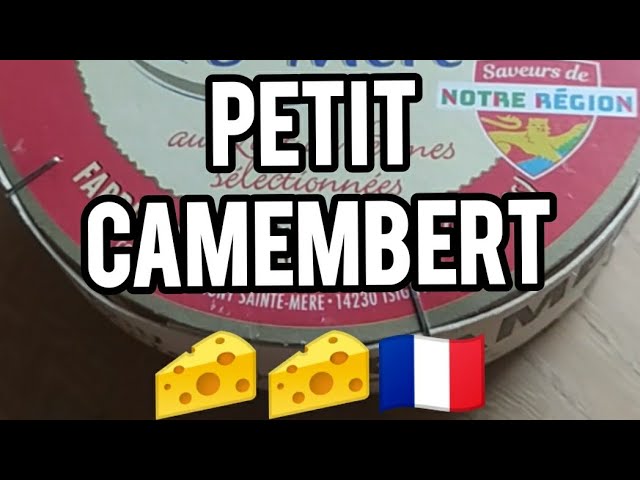 Queso Camembert: Historia, Variedades y Recetas 7 Orbes Argentina 00 Queso Camembert: Historia, Variedades y Recetas 00