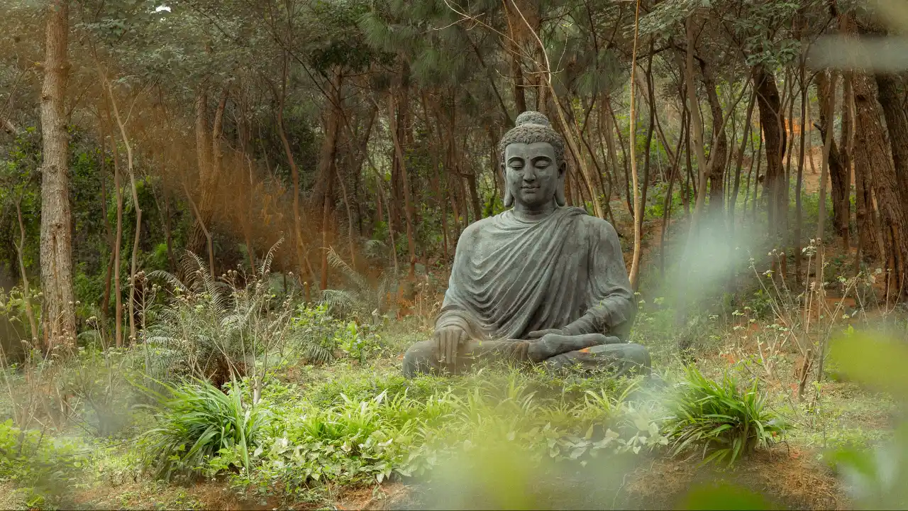 sonidos sagrados para calma mental