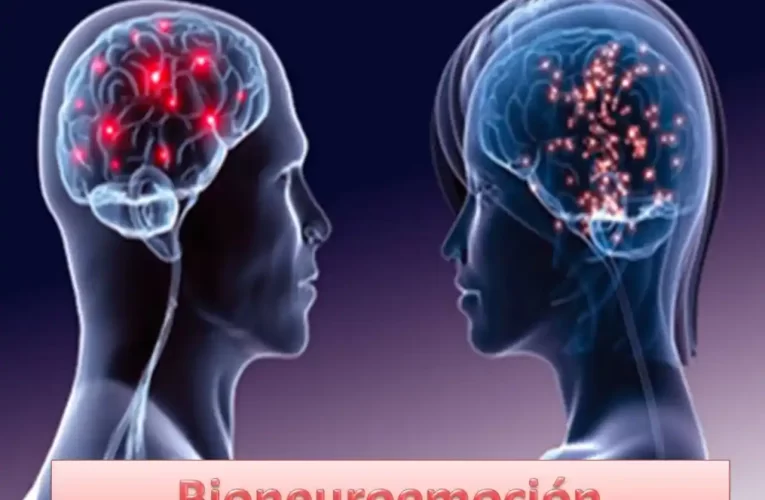 00 Bioneuroemoción: Clave para Entender tus Emociones 00