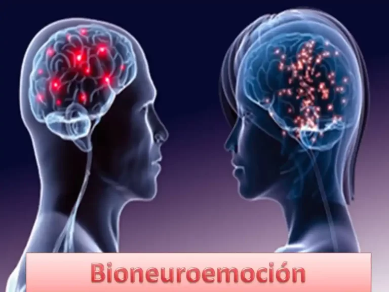 bioneuroemocion-para-entender-tus-emociones - 2025-07-16 - Portada 1 1