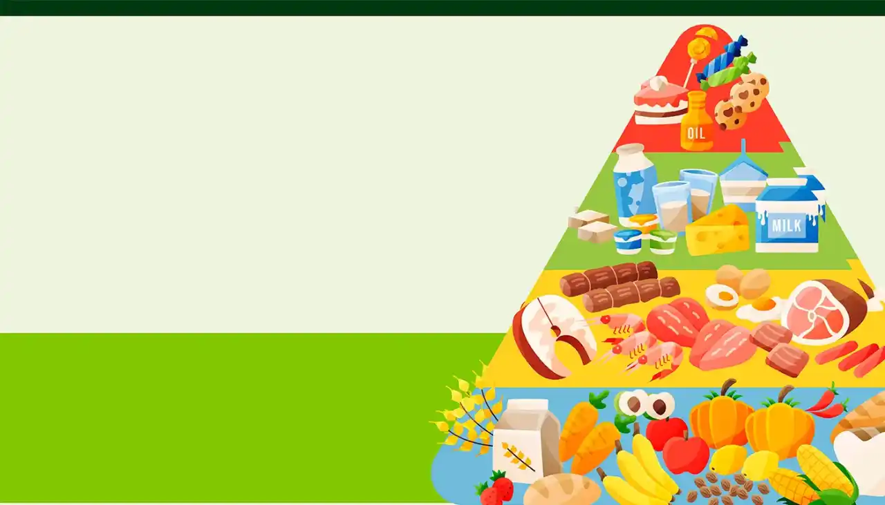 ¿Qué es la nutrición y cómo se clasifica?