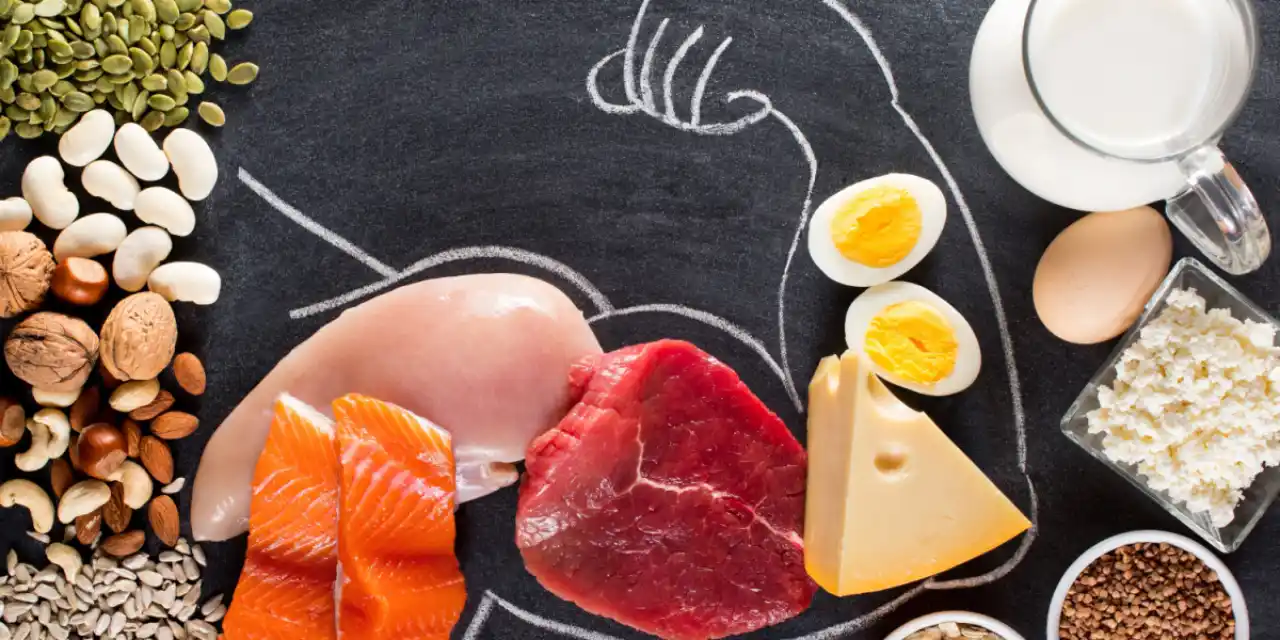 ¿Cuáles son los conceptos de alimentación y nutrición?