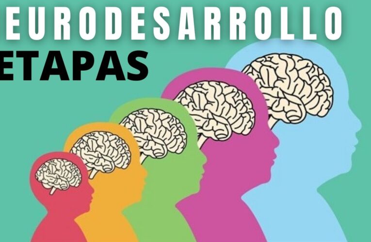00 Neurodesarrollo: Consejos y Beneficios para Niños 00