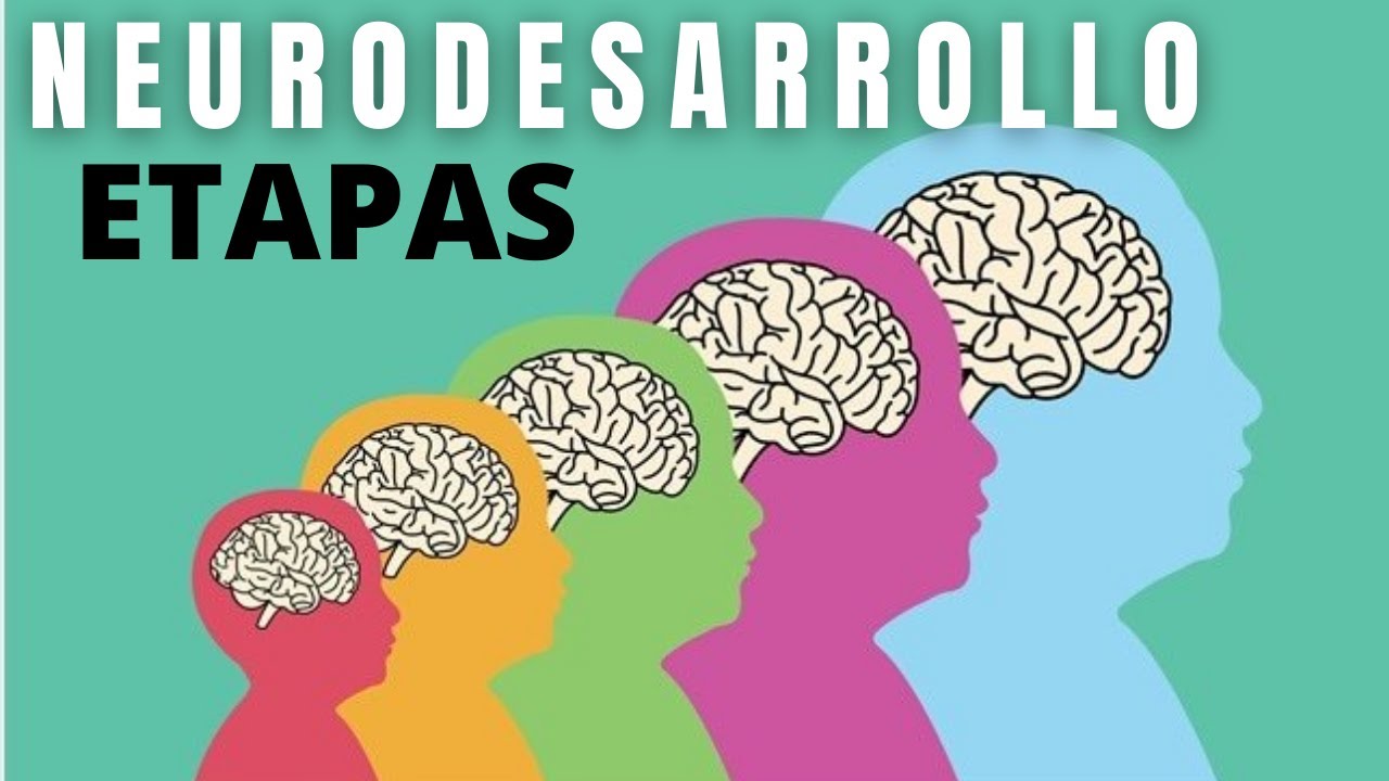 00 Neurodesarrollo: Consejos y Beneficios para Niños 00