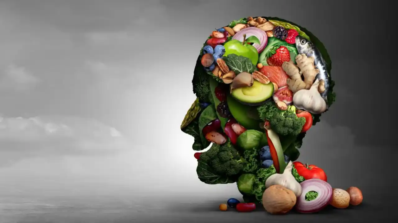 ¿Qué es la nutrición y concepto?