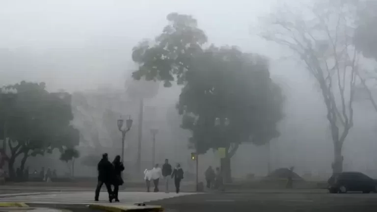 neblina-en-que-se-diferencia-de-la-niebla - 2025-09-12 - Portada 5