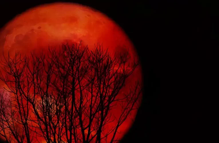 El Espectáculo Celestial de la Luna de Sangre del 7 de Septiembre de 2025