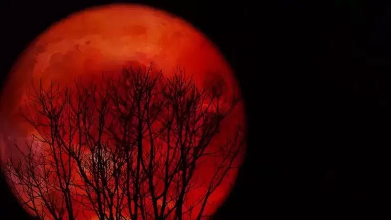 luna-de-sangre-del-7-de-septiembre-de-2025 - 2025-09-02 - Portada