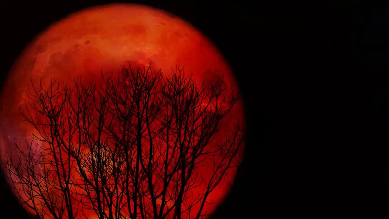 00 Luna de Sangre del 7 de Septiembre de 2025 00