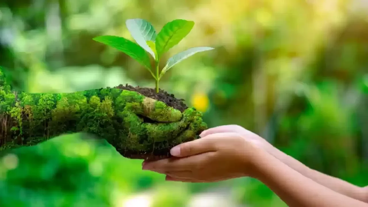 contaminación ambiental y soluciones para el planeta