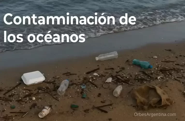 Contaminación de los océanos: plásticos, petróleo y microbasura
