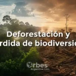 Deforestación y pérdida de biodiversidad en los bosques