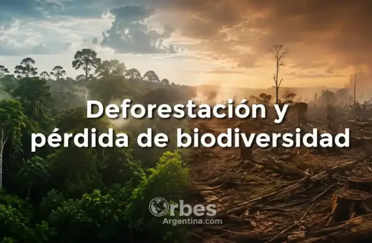 Deforestación y pérdida de biodiversidad