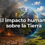 Vista satelital del impacto humano sobre la Tierra